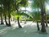 Bohol Beach Club 
